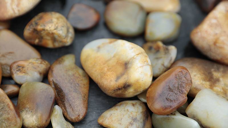 籽料：百万鸡骨！