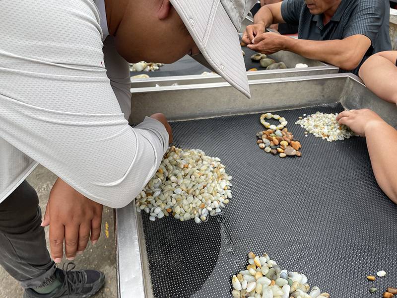 一个小小米粒籽，他说8000给！