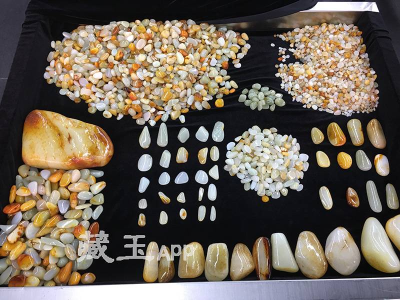山料仿籽，谁才是模仿冠军？最常见的滚料竟然是它！