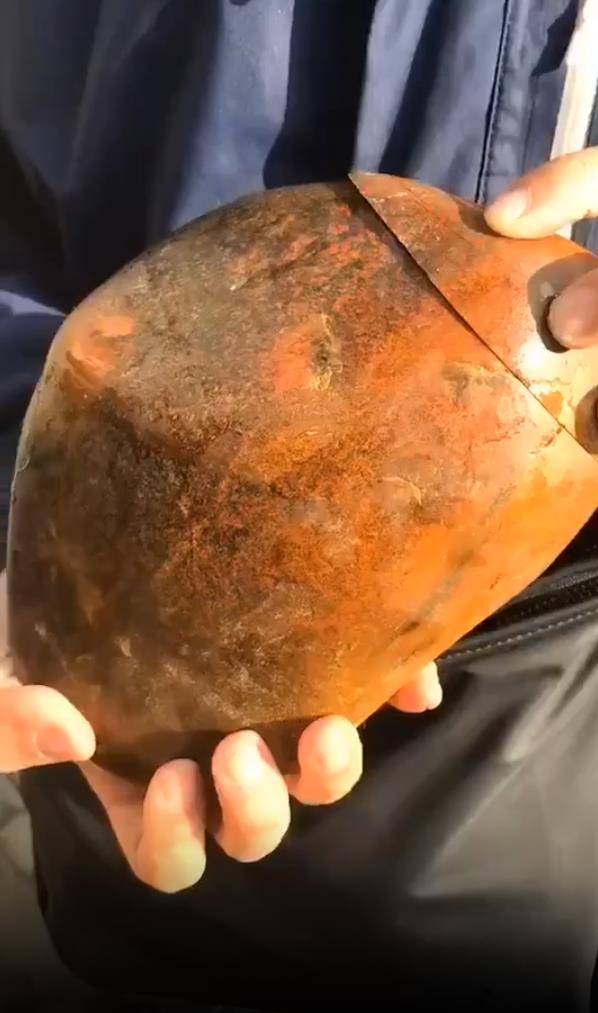 一个多么漂亮的黄沁，见证奇迹的时刻……