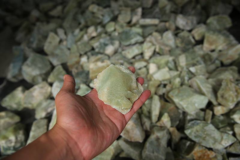 比“黄玉”还黄的“黄口”，杀疯了！