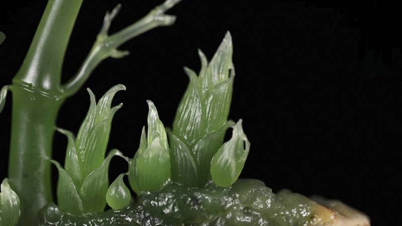 从随性之喜到体系之美丨一位藏家的体系化收藏哲学与实践