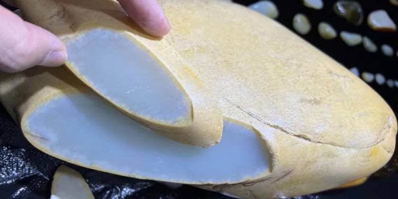 石包玉里的那些稀有品种！