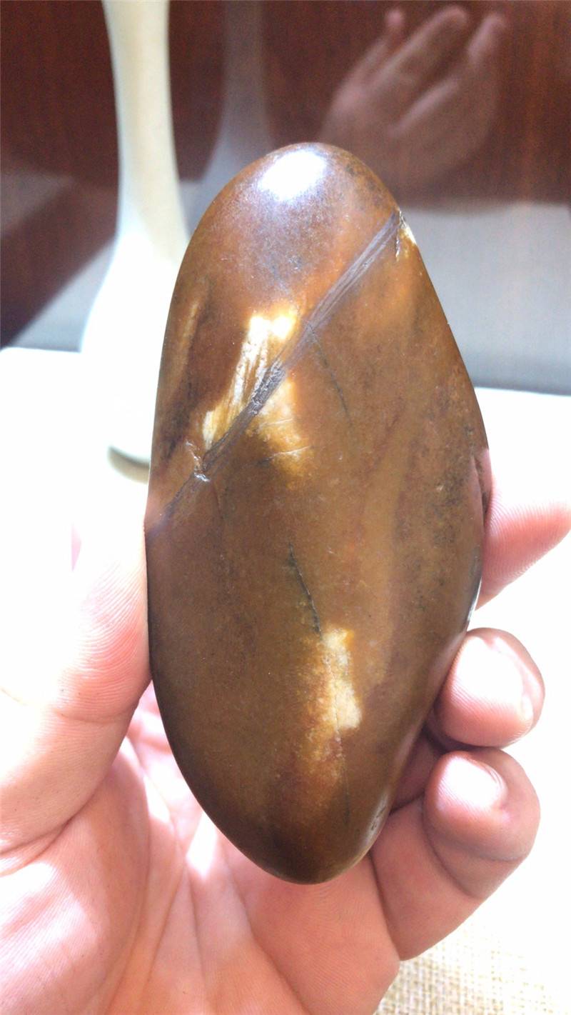 一个沁料的自杀……
