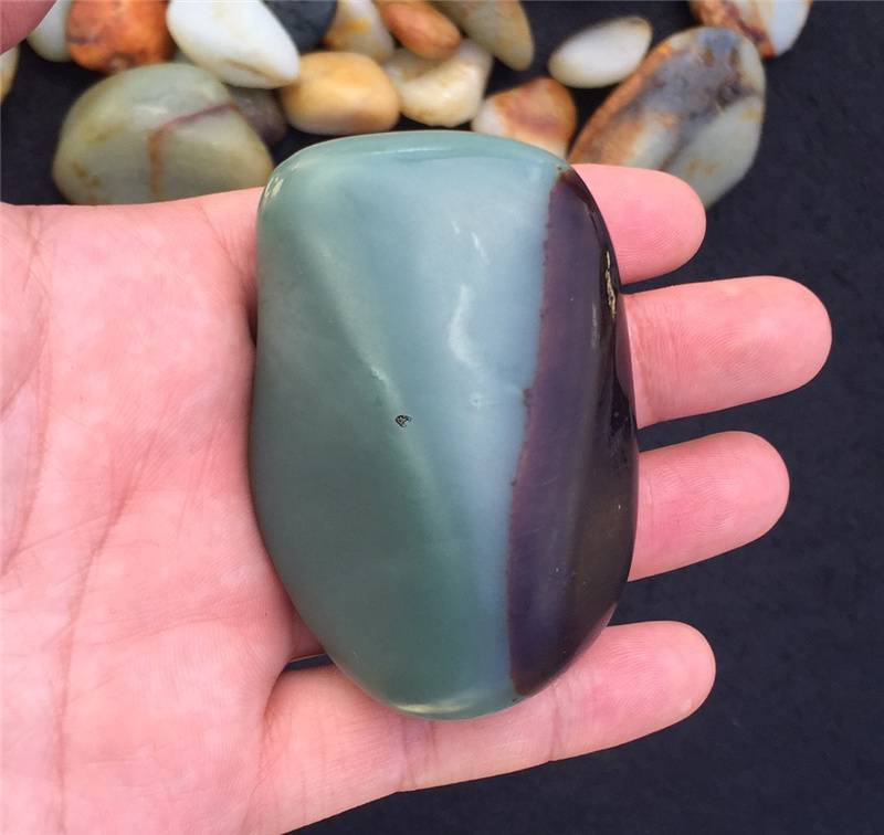 火热的沙枣青收藏认清假货看准精品