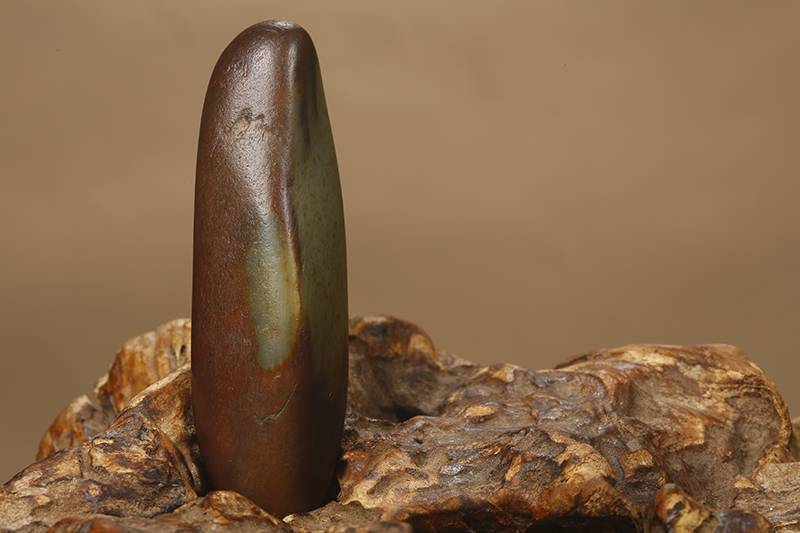 克价1万块聊聊风口上的沙枣青